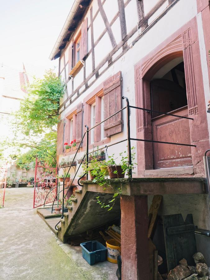 Le Haut Relais Des Seigneurs - 5 Mn Royal Palace De Kirrwiller Bouxwiller  Exteriér fotografie